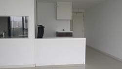 Riversound Residence (D19), Condominium #90581142